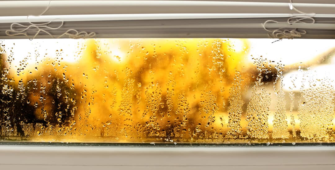 Avoid condensation on the windows - Solar Screen
