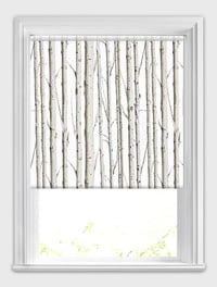 Forest Silver Birch